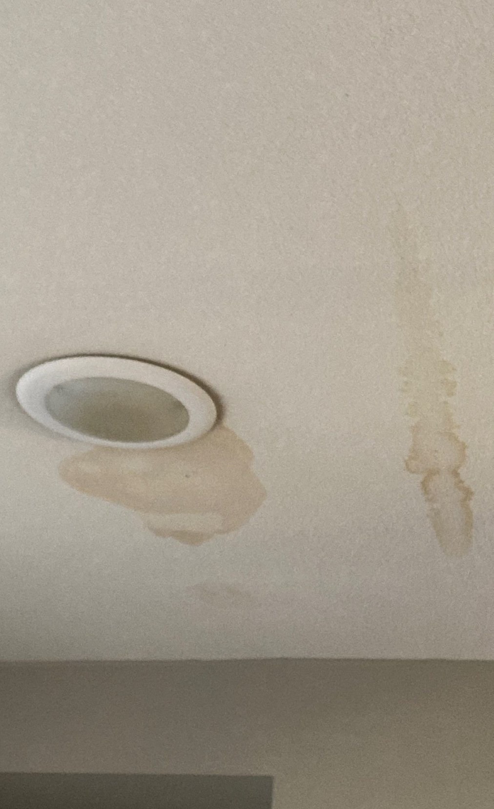 Water stain visible on a drywall ceiling after a leak