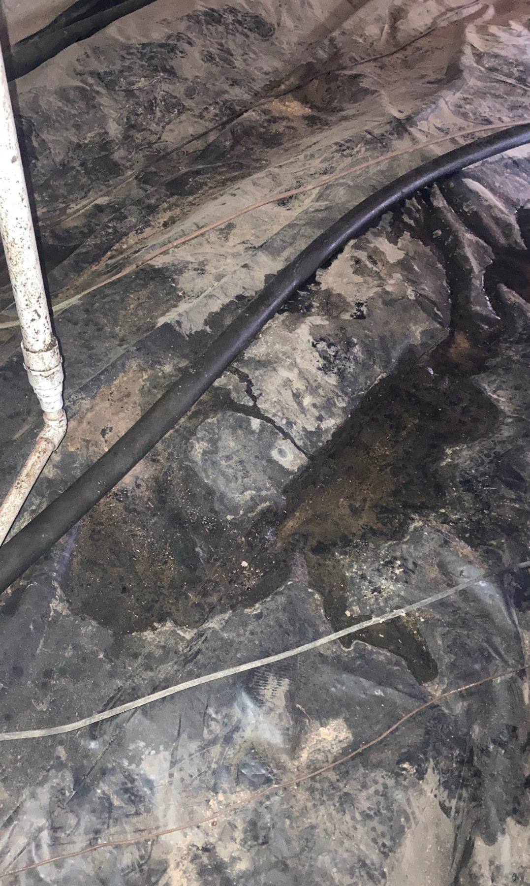 Water path and moisture damage documented while locating a crawlspace leak source