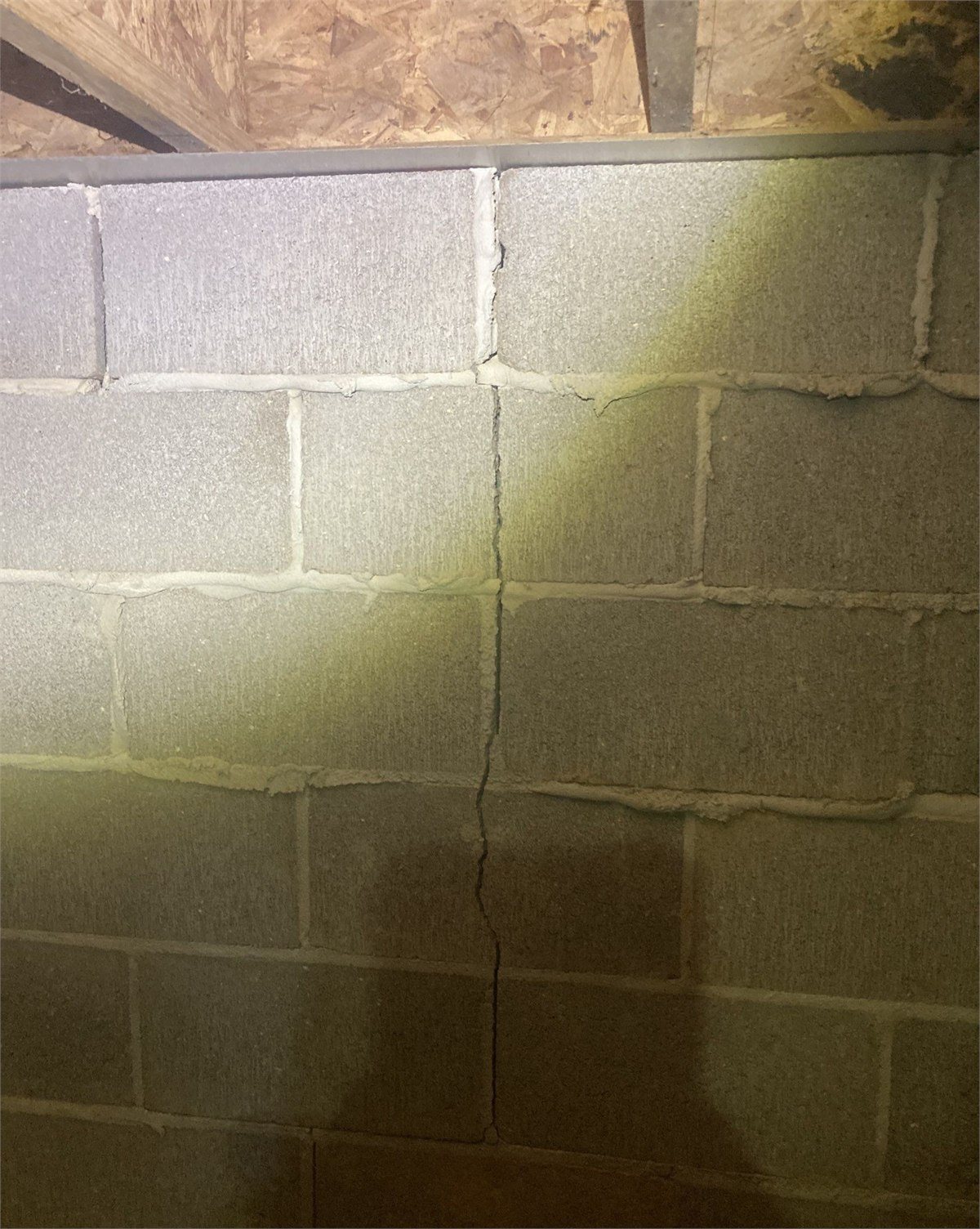 Moisture visibly wicking upward through a concrete masonry foundation wall
