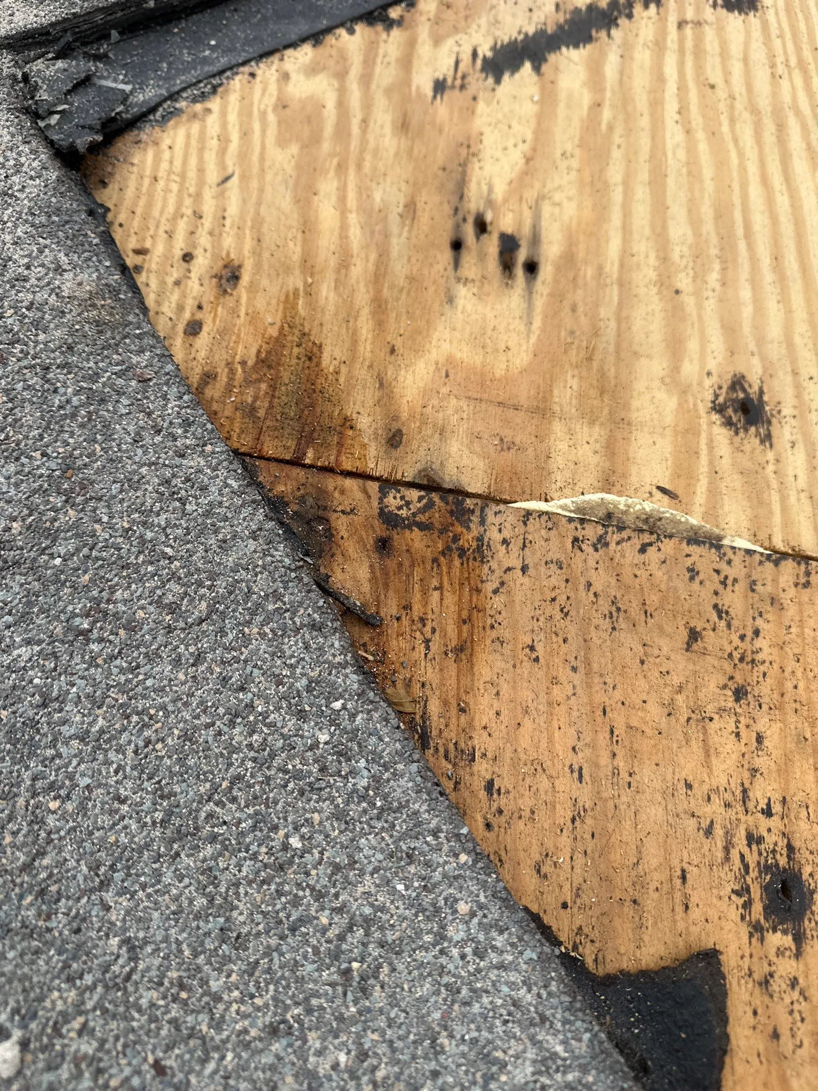 Roof leak condition identified during a roofing inspection in Northeast Arkansas.