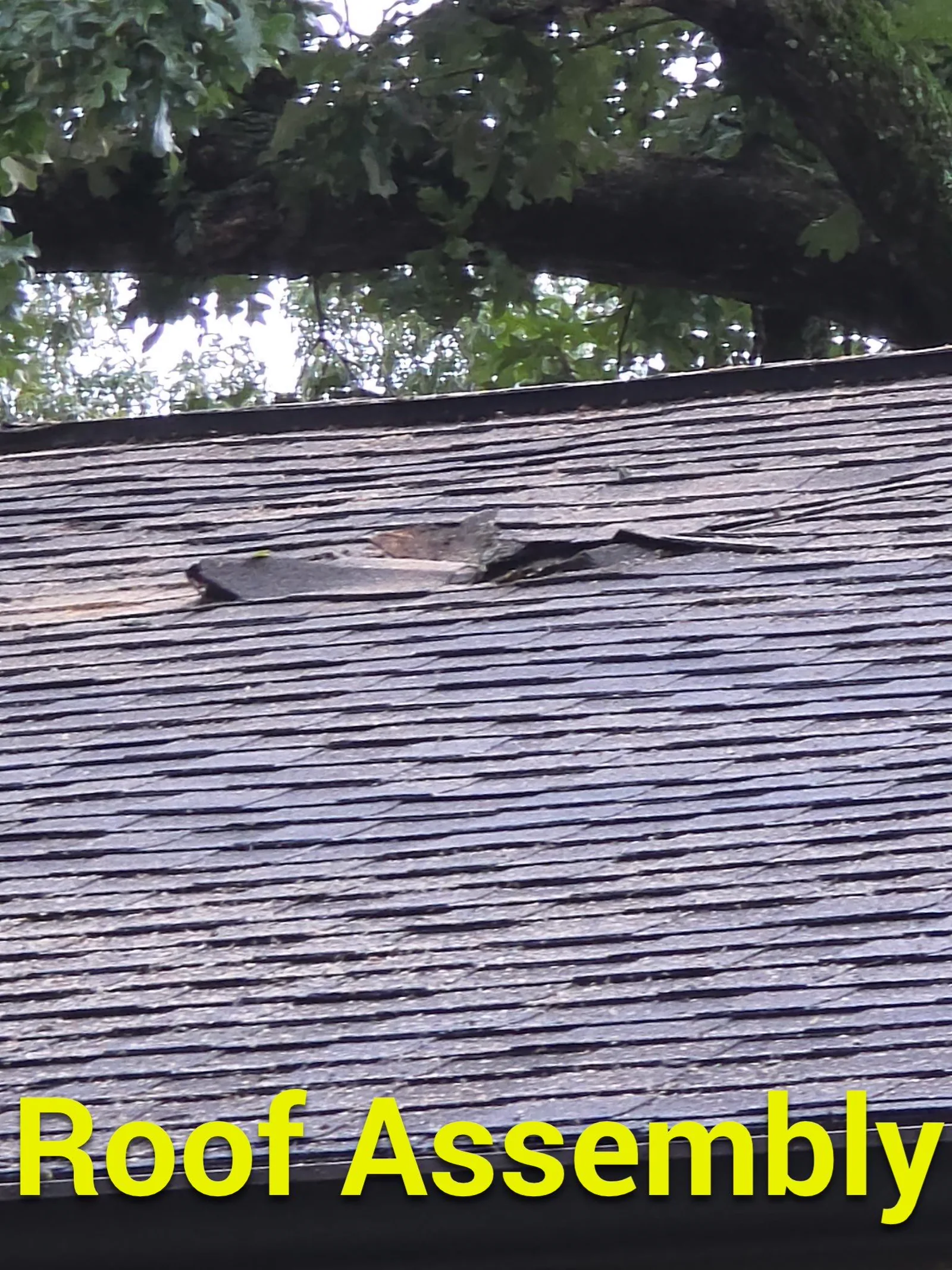 Storm-created roof opening and water intrusion after a tree fell onto the roof.