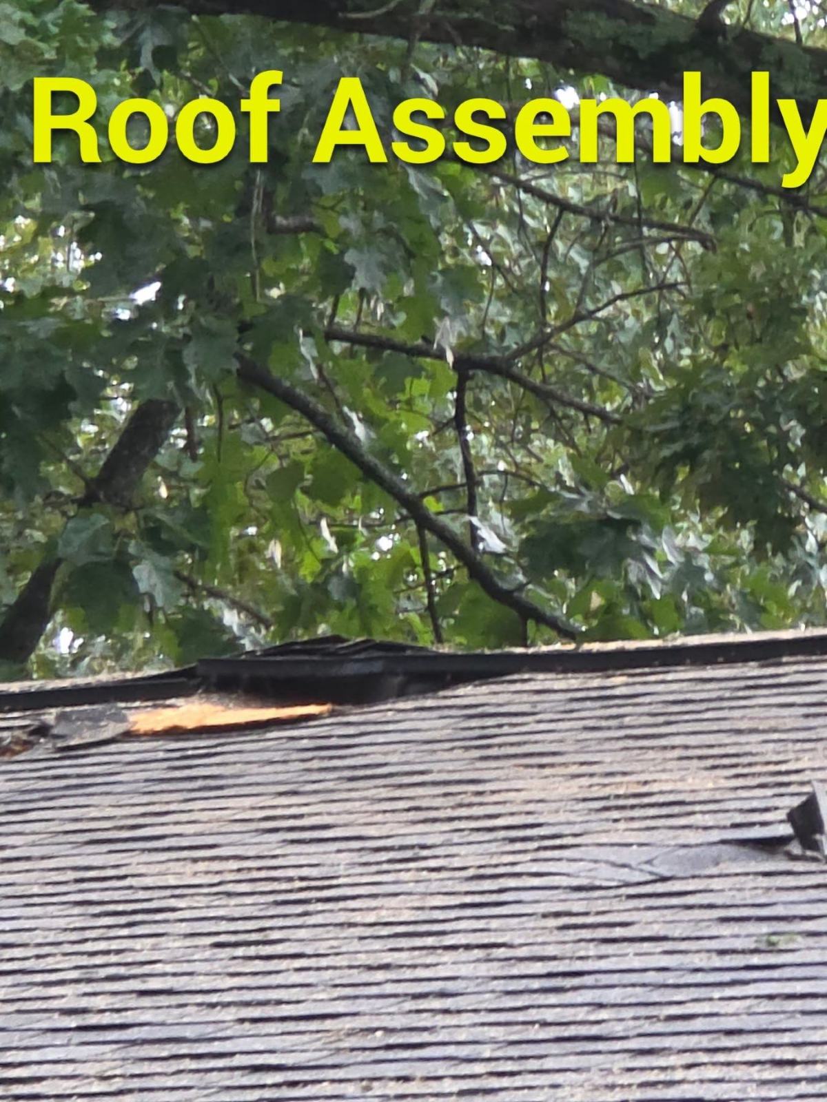 Roof and building damage caused by a tree falling during a severe storm