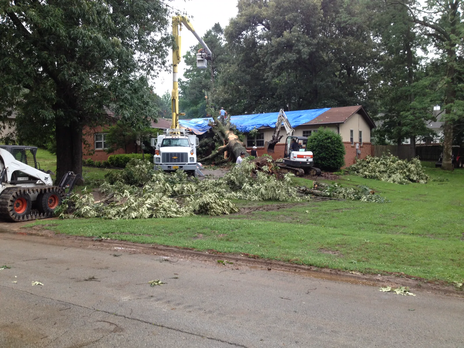 Tree removal and emergency roof tarping after fallen-tree damage