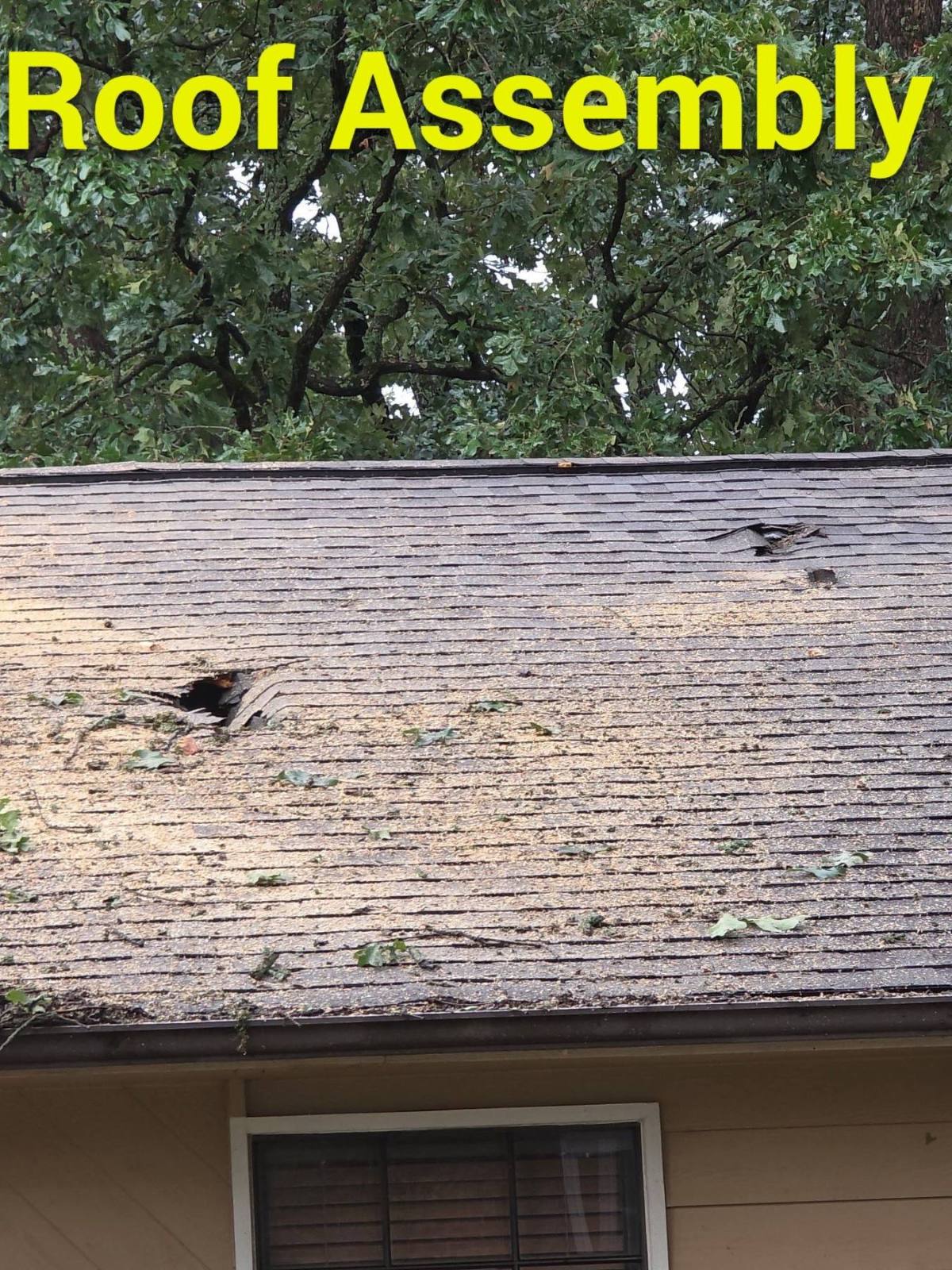 Storm-damaged roof requiring inspection for visible and concealed building damage