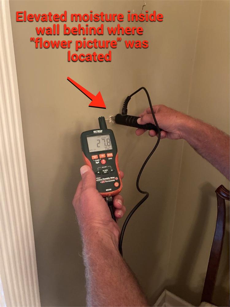 Moisture inspection inside wall cavity after water damage